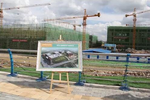 4008云顶集团大健康医药产业园迎来贵阳市半年经济工作会现场观摩组2.jpg